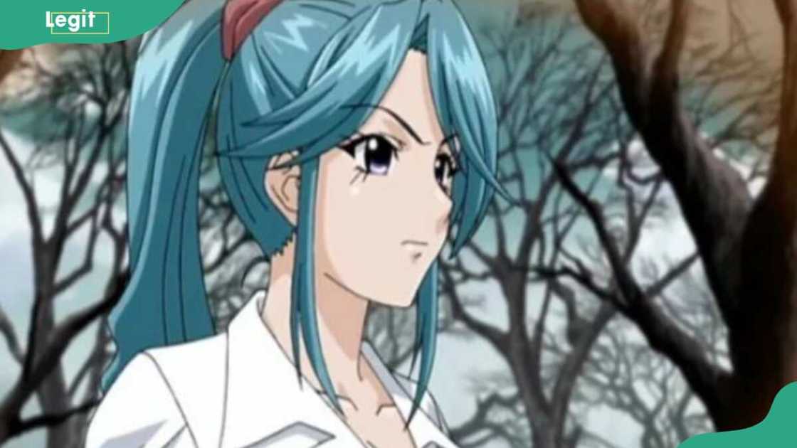 Ageha Kurono's hair styled in a ponytail Ageha Kurono's hair styled in a ponytail