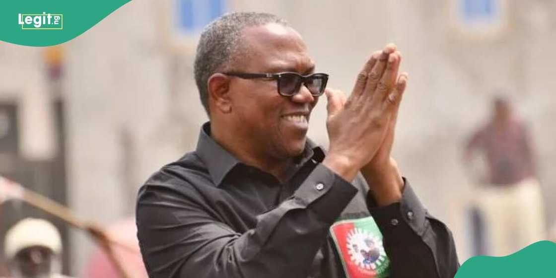 Peter Obi/Peter Obi news