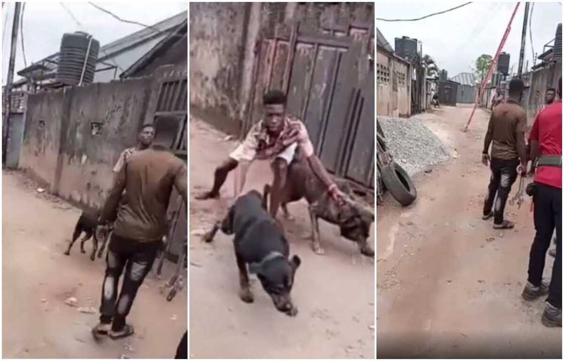 Some people condemned the young man's act. Some people condemned the young man's act.