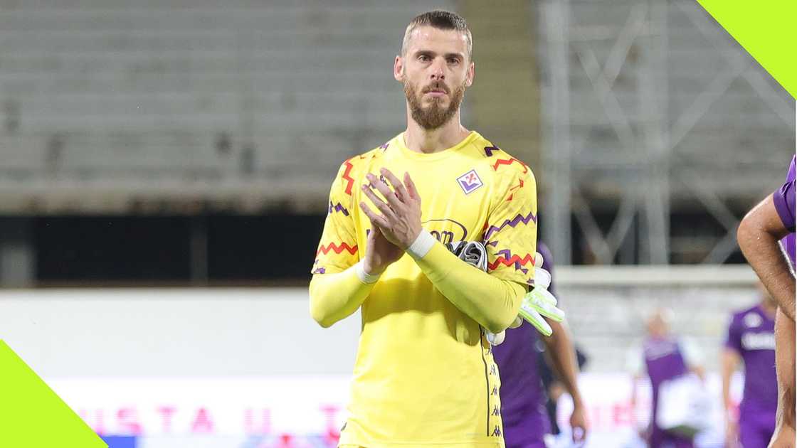 David de Gea won a Premier League title with Manchester United in 2013 David de Gea won a Premier League title with Manchester United in 2013