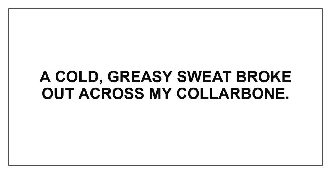 A cold, greasy sweat broke out across my collarbone.
