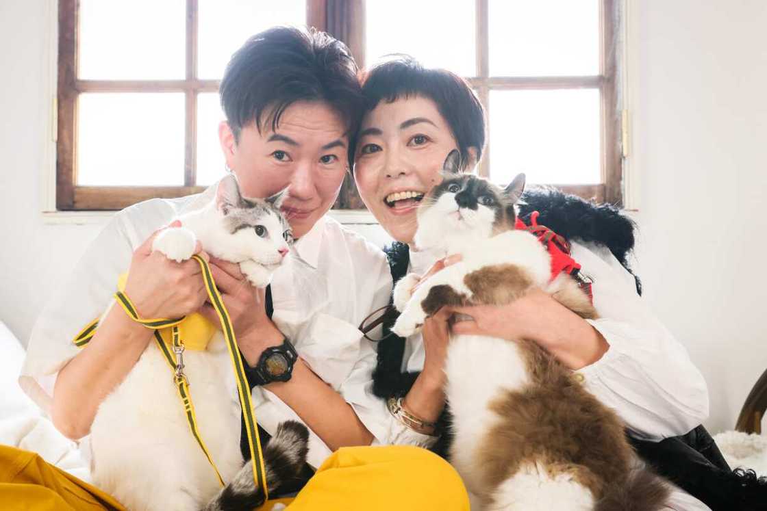 Noms de chat japonais Noms de chat japonais