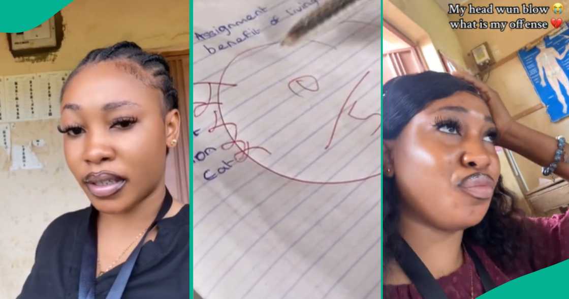 student teacher complains over pupils homework student teacher complains over pupils homework