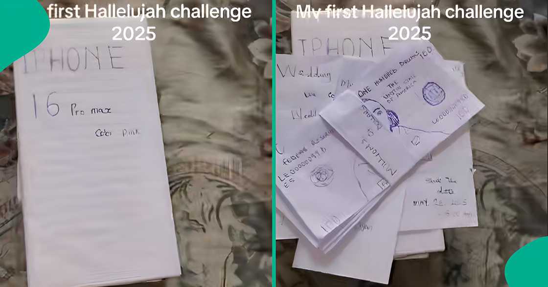 Lady uses paper to make 10 items for hallelujah challenge