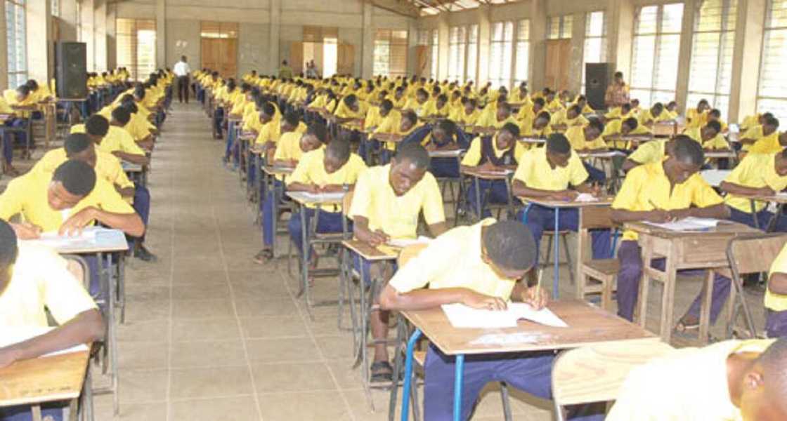 WAEC considering postponement of WASSCE - FG WAEC considering postponement of WASSCE - FG