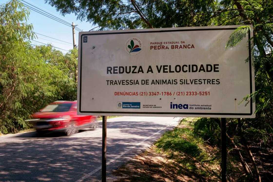 Signs on several main roads urge drivers to reduce speed due to the risk of wild animals crossing Signs on several main roads urge drivers to reduce speed due to the risk of wild animals crossing