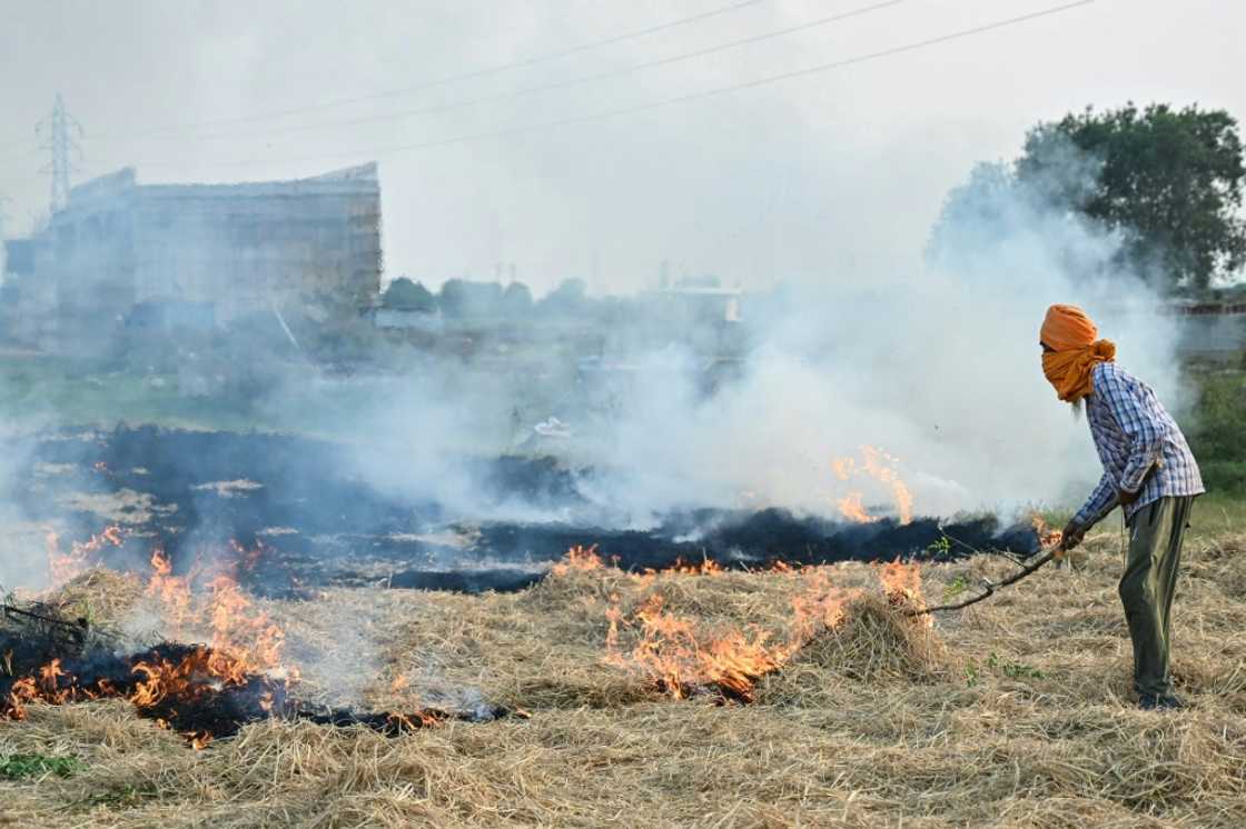 Smoke from stubble burning by farmers is one of the biggest contributors to the toxic smog Smoke from stubble burning by farmers is one of the biggest contributors to the toxic smog