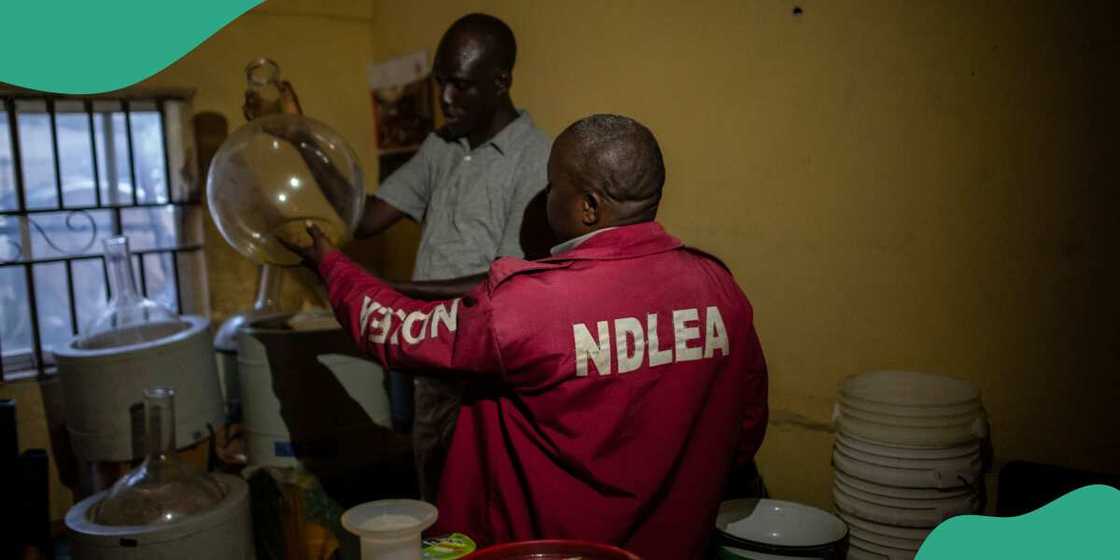 NDLEA ta cafke mai safarar kwayoyi ga 'yan ta'adda NDLEA ta cafke mai safarar kwayoyi ga 'yan ta'adda