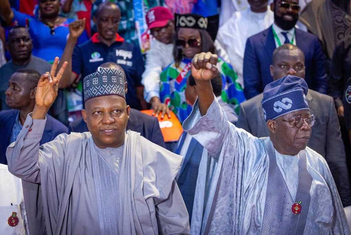 RMAFC ta kara albashin Tinubu, Shettima da sauran 'yan siyasa albashi da kashi 114