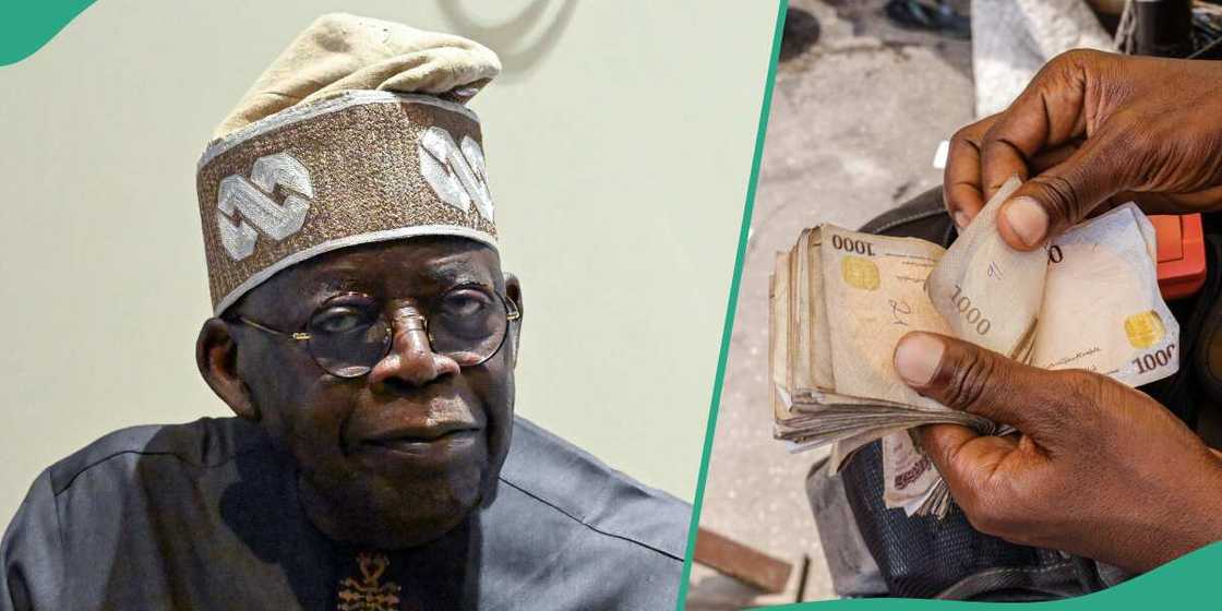 New update for Presidential Conditional Grant Programme applicants on NIN update from FG New update for Presidential Conditional Grant Programme applicants on NIN update from FG