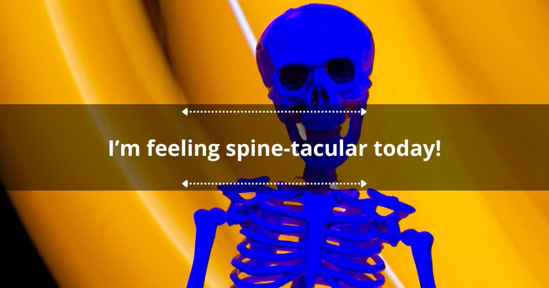 Short bone puns Short bone puns