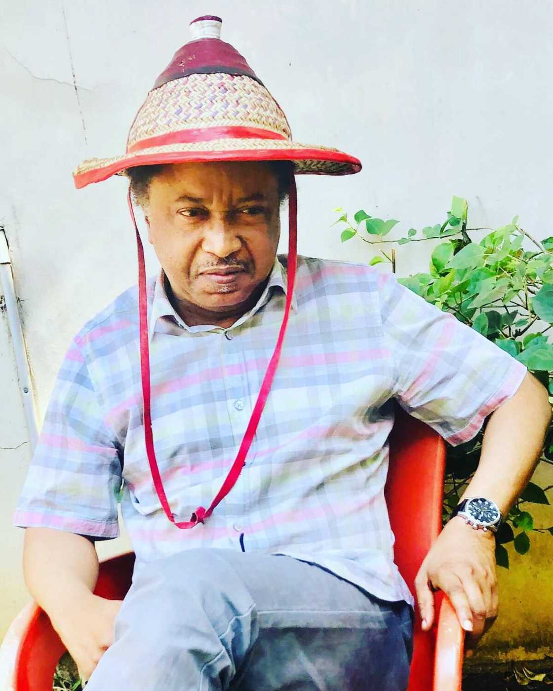 Shehu Sani: Duk rana sai Masu garkuwa da mutane sun yi lalata da wadanda su ka tsare Shehu Sani: Duk rana sai Masu garkuwa da mutane sun yi lalata da wadanda su ka tsare