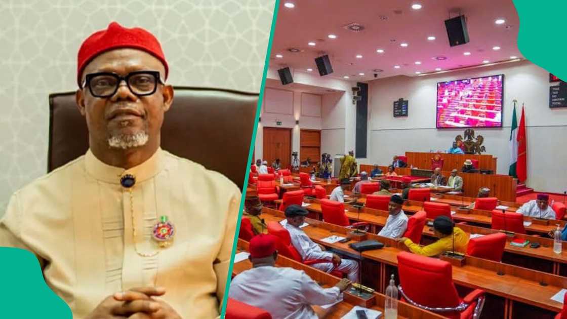 All the senators who have died since the inauguration of the 10th National Assembly have been compiled. All the senators who have died since the inauguration of the 10th National Assembly have been compiled.