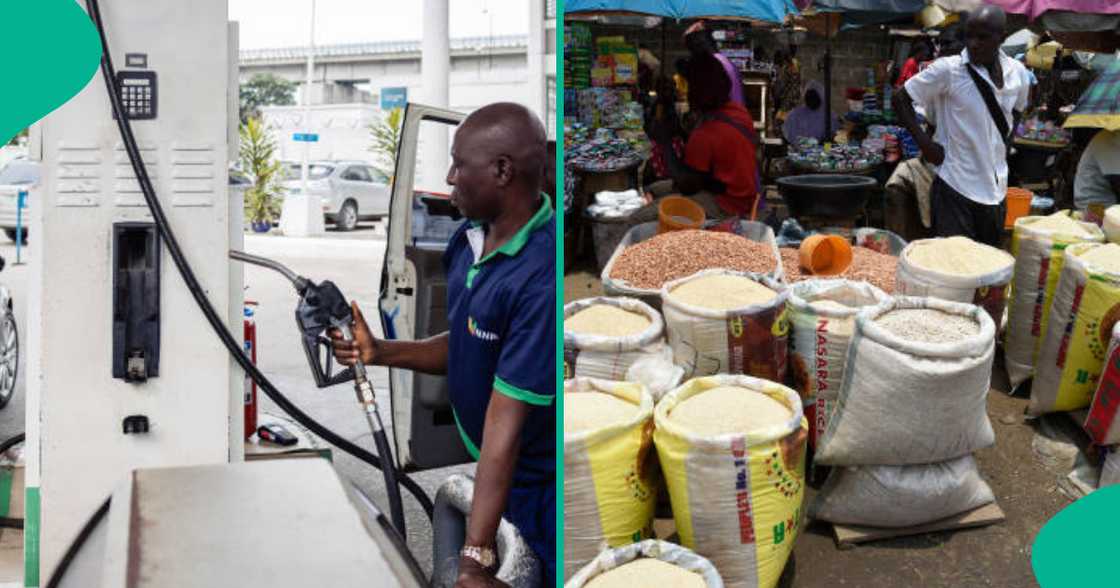 KAyan abinci KAyan abinci