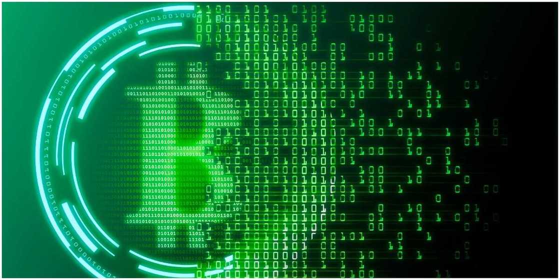 Bitcoin Crash Causes Panic Among Smallholders, As Gold Shatters As Well Bitcoin Crash Causes Panic Among Smallholders, As Gold Shatters As Well