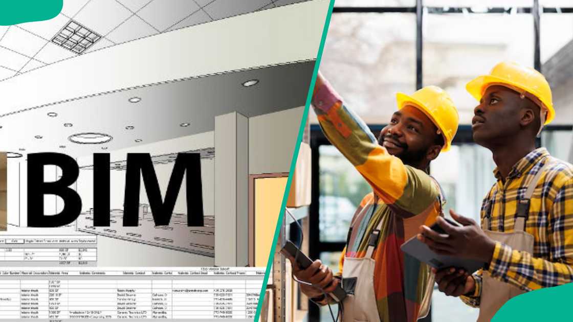 BIM's logo and constructors at work BIM's logo and constructors at work