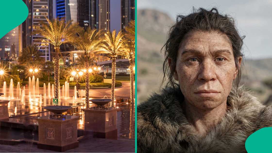 Fossil evidence organisation clarifies ancient human species.