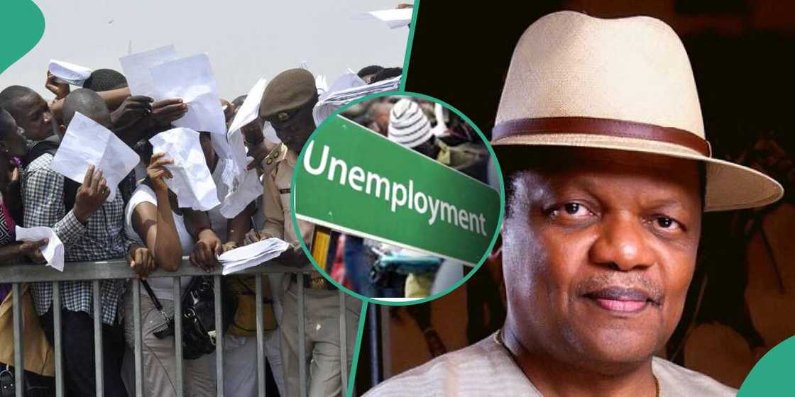 Unemployment rate, Atedo Peterside Unemployment rate, Atedo Peterside