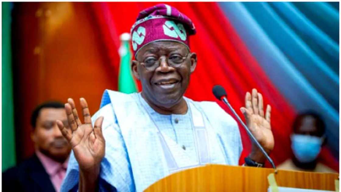 Asiwaju Ahmed Bola Tinubu, Jagoran APC na Kasa.