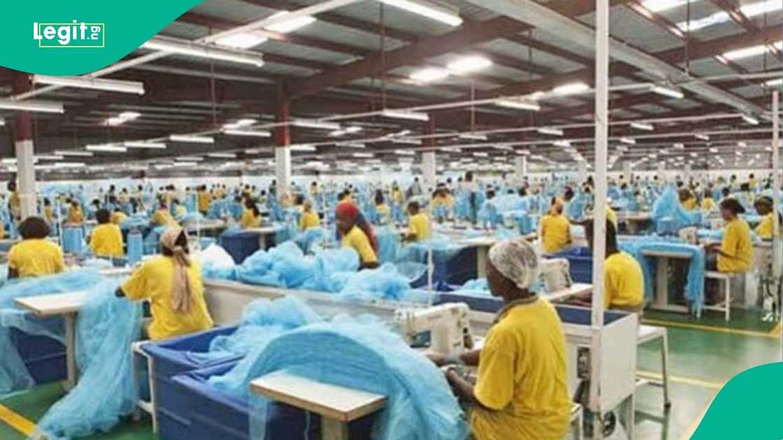 FG Moves to Revive Nigeria’s Textile Industry After Sharp Decline in Cotton Production FG Moves to Revive Nigeria’s Textile Industry After Sharp Decline in Cotton Production