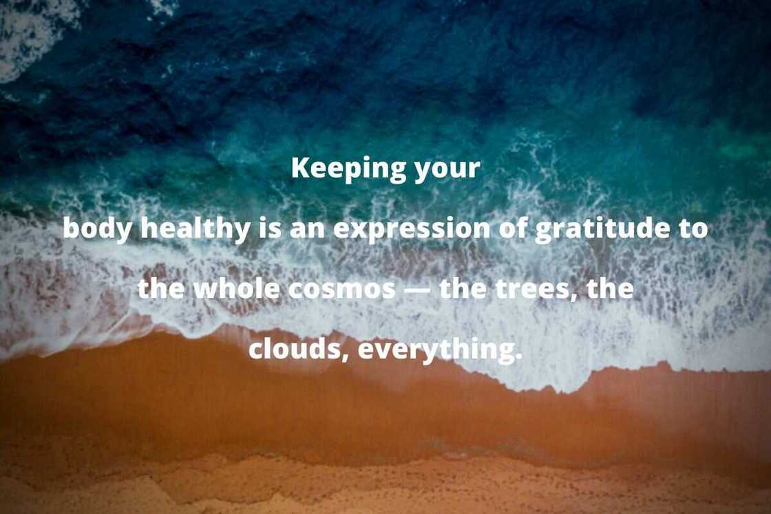 Thich Nhat Hanh health quotes Thich Nhat Hanh health quotes