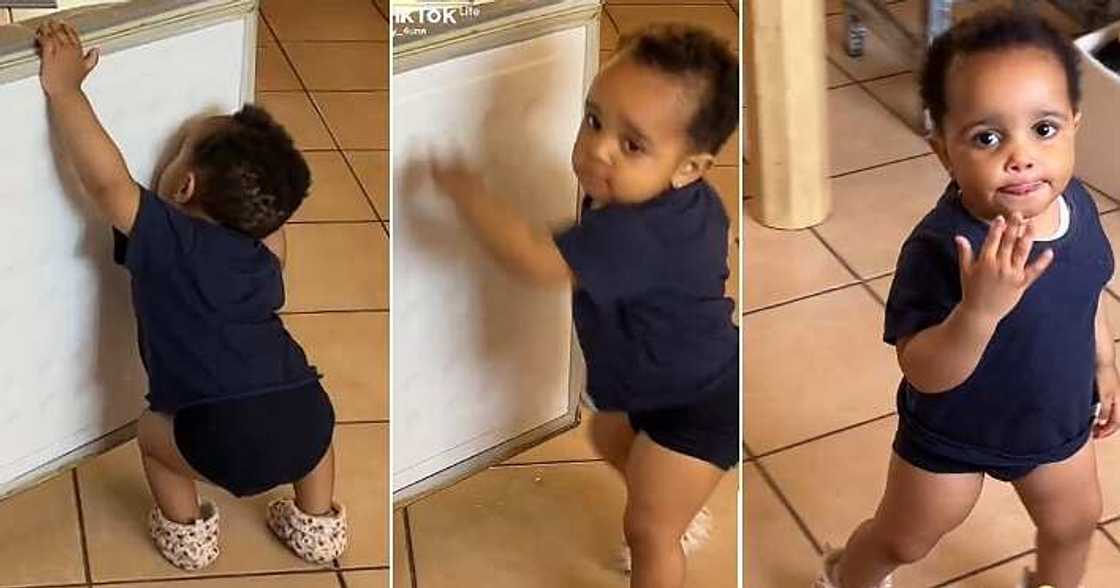 Little girl licks fridge, funny video Little girl licks fridge, funny video
