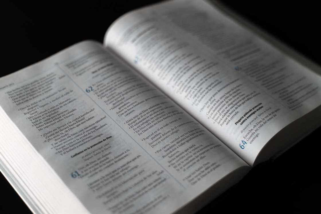 longest and shortest verse in the Bible longest and shortest verse in the Bible