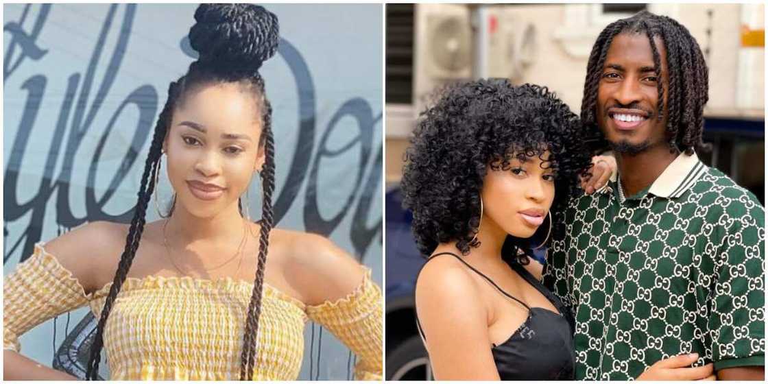 Miss Pepeye of Papa Ajasco Miss Pepeye of Papa Ajasco