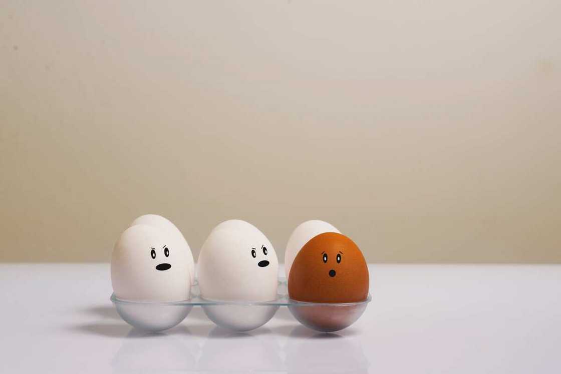 egg puns and jokes egg puns and jokes