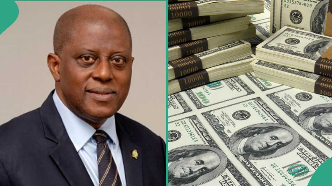 CBN dollar sales rise as naira falls CBN dollar sales rise as naira falls