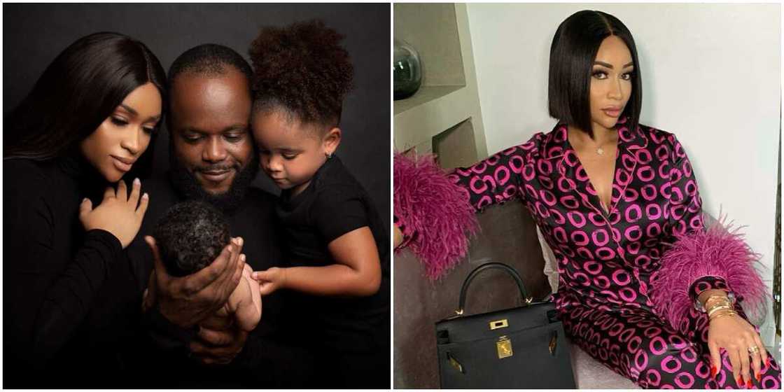 Noella at 4: Beautiful Photos From Barbie-Themed Birthday Party of Bola Tinubu’s Granddaughter