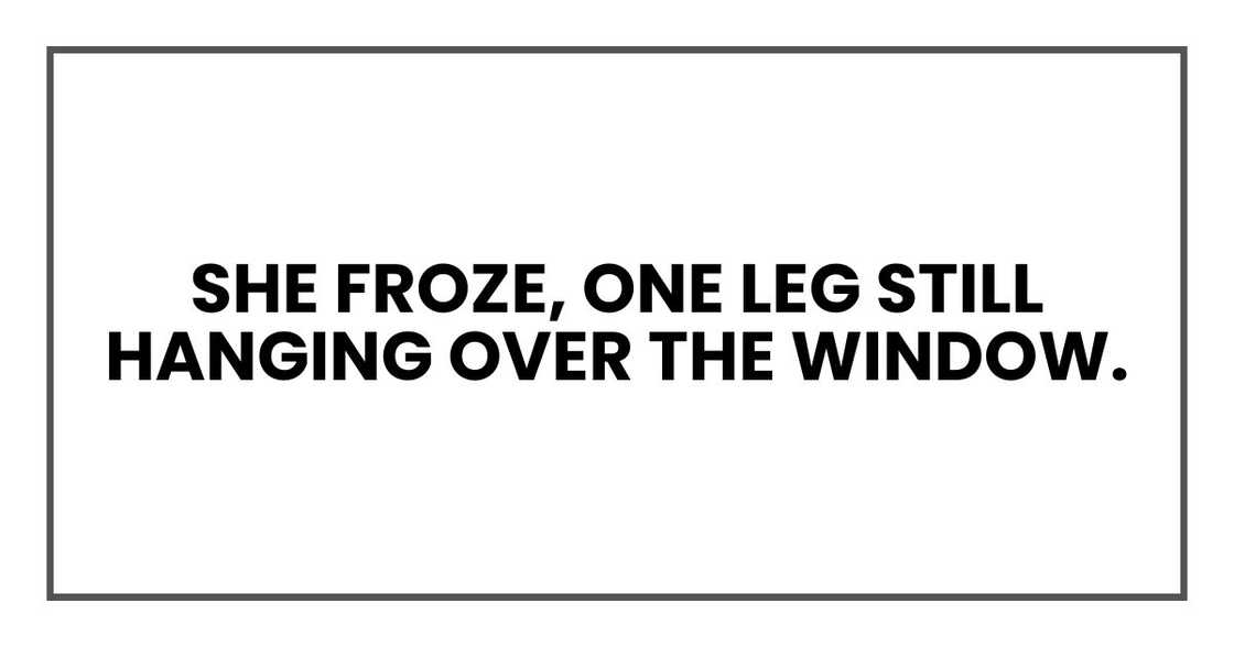 She froze, one leg still hanging over the window. She froze, one leg still hanging over the window.