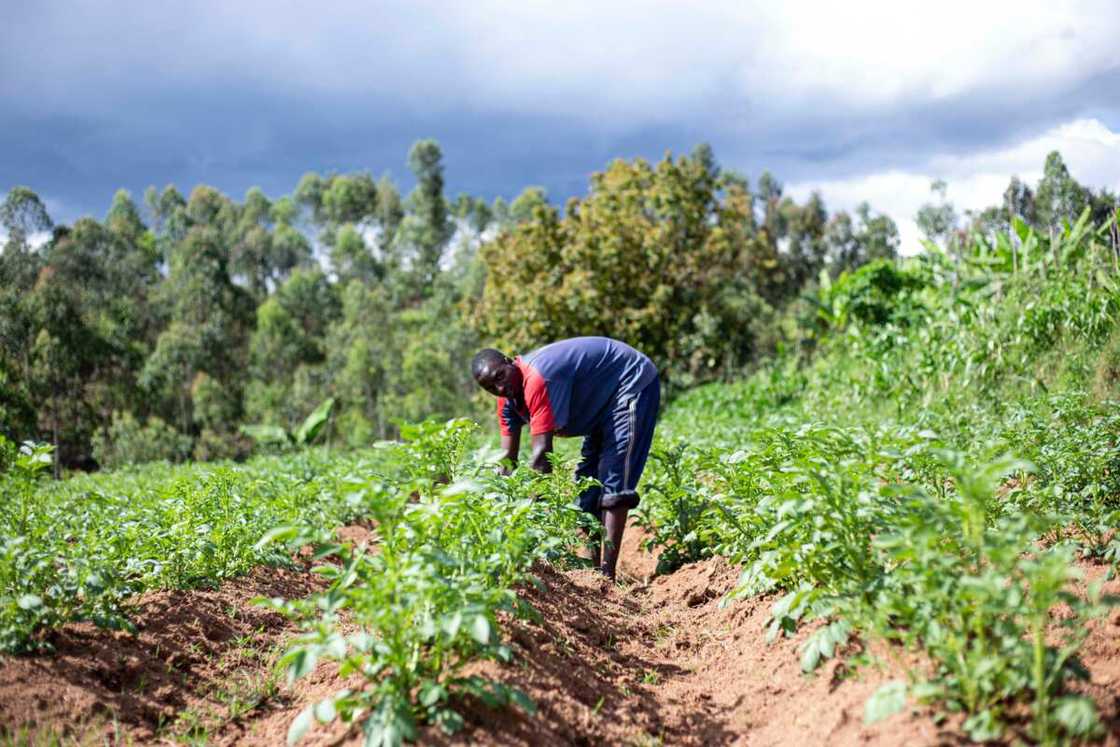 types of land tenure systems in agriculture