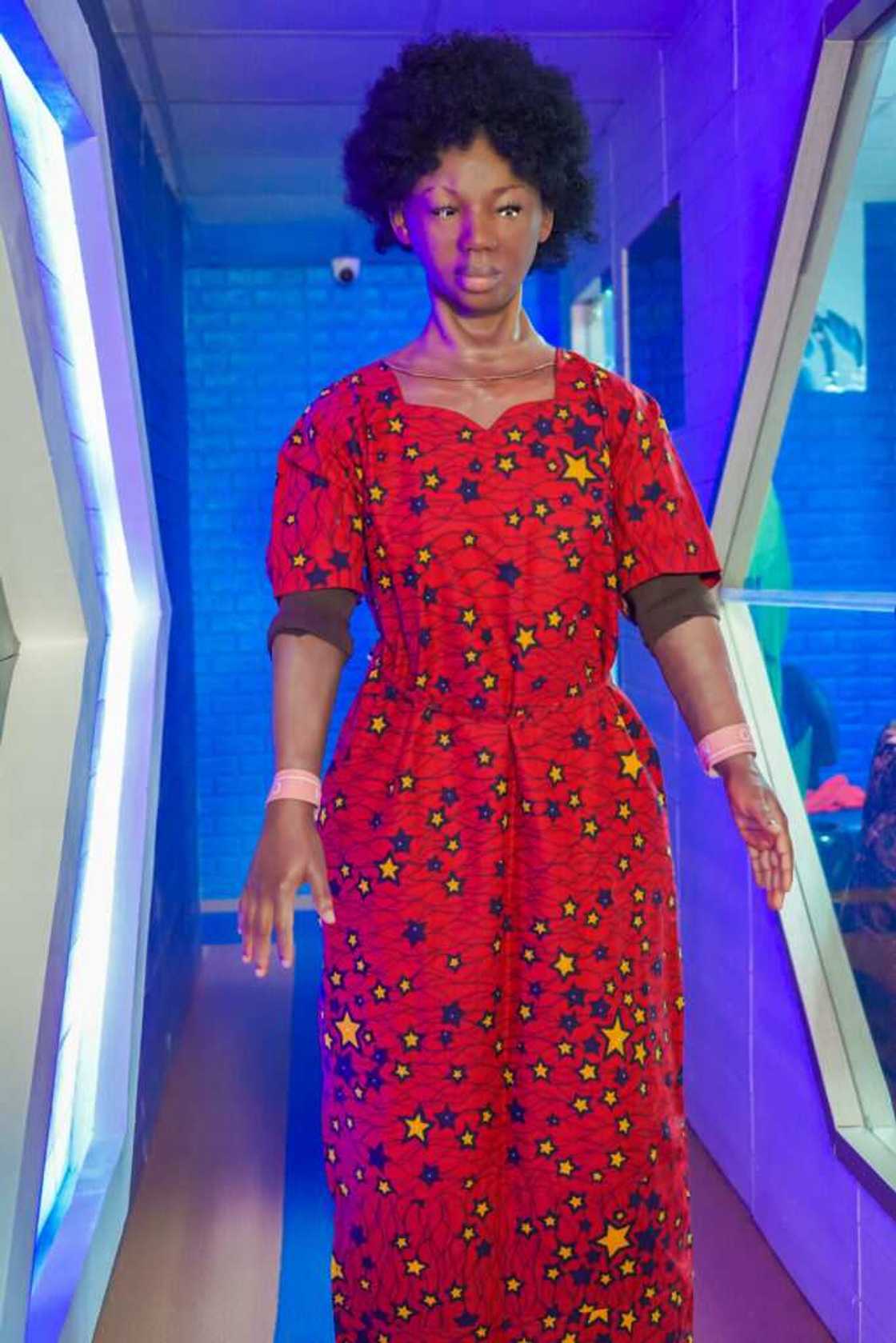 Omeife robot nigeria Omeife robot nigeria