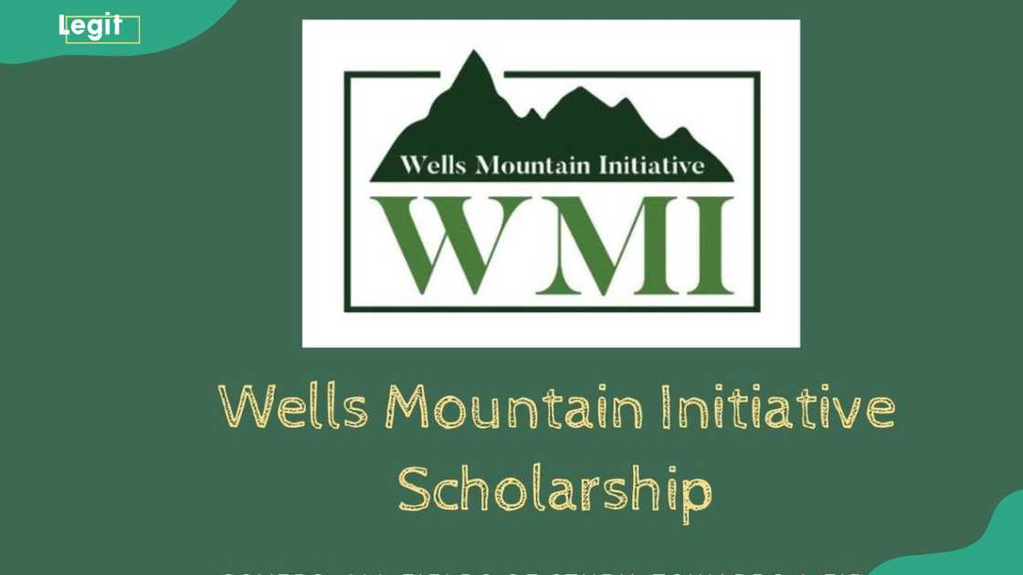 Wells Mountain Initiative logo Wells Mountain Initiative logo