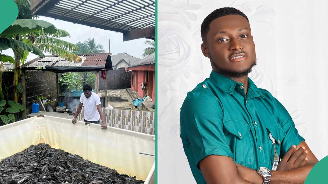 Man breaks silence as he recovers after losing N4 million invested in catfish farming