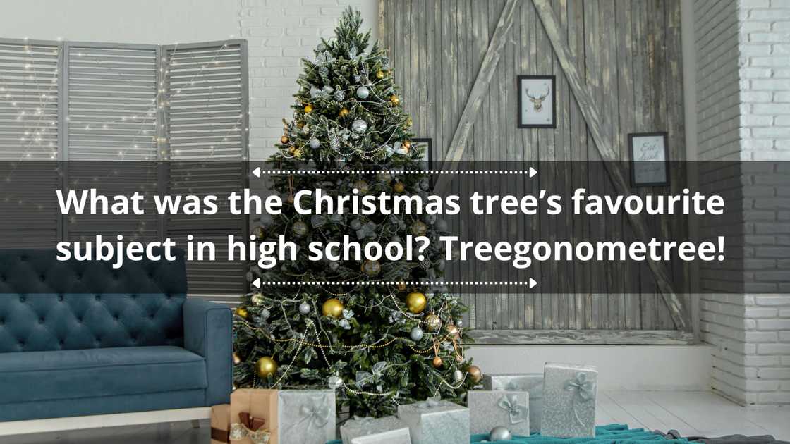 Funny Christmas tree jokes for kids.