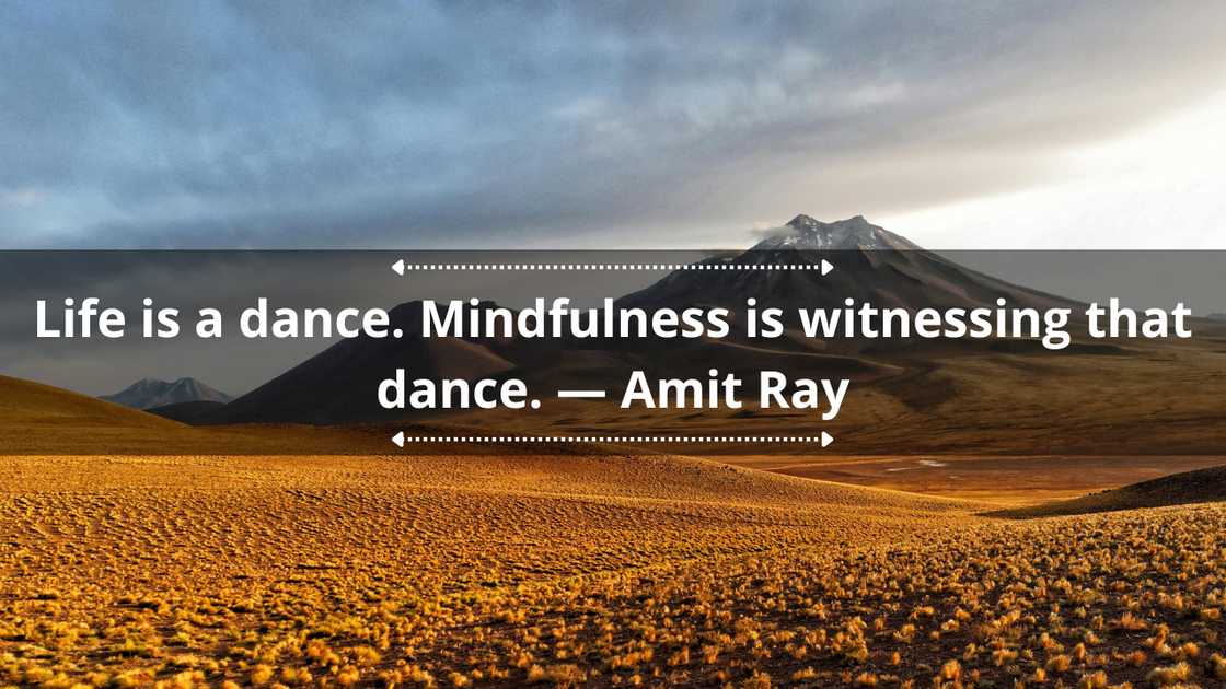 Mindfulness quotes about life Mindfulness quotes about life