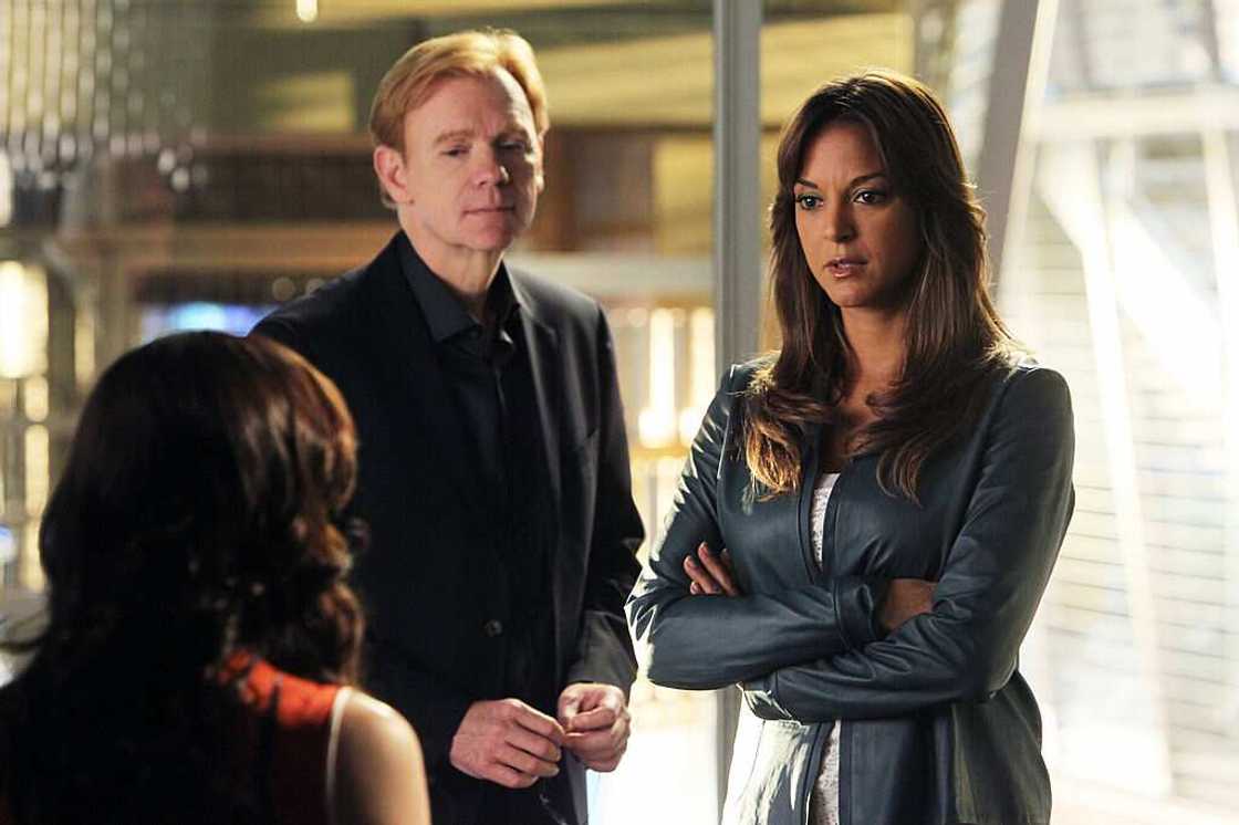 David Caruso movies David Caruso movies