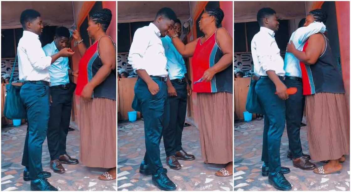 Photos of a mother combing her twin son's hair. Photos of a mother combing her twin son's hair.