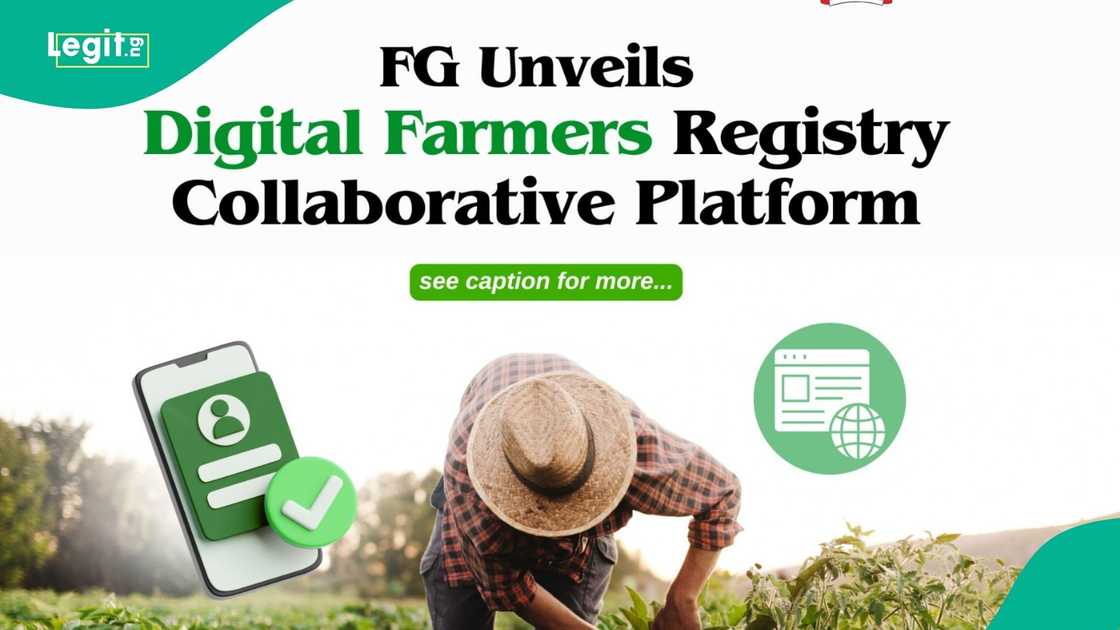 FG Unveils New Digital Farmers Registry to Boost Food Security, Agricultural Productivity