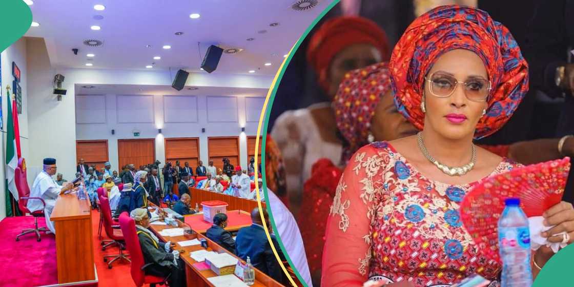 Ministerial Screening Of Ojukwu, Oduwole, Others Postponed Ministerial Screening Of Ojukwu, Oduwole, Others Postponed