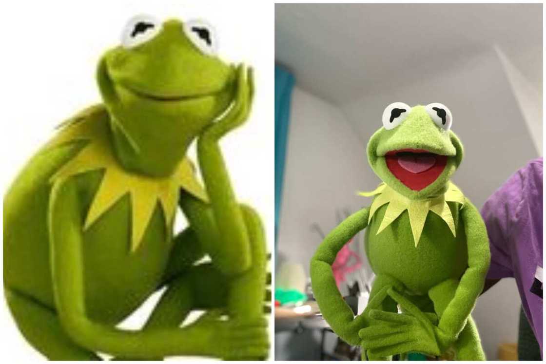 Ugly characters in cartoons Ugly characters in cartoons