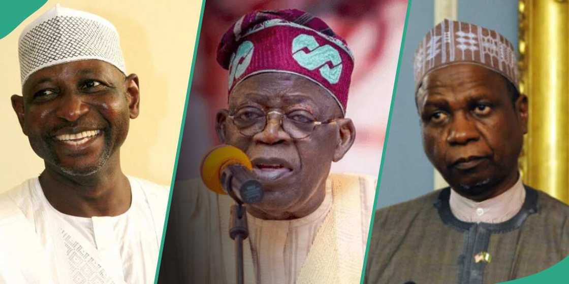 Tinubu ya gwangwaje Shinkafi da Yayale Ahmed da mukamai Tinubu ya gwangwaje Shinkafi da Yayale Ahmed da mukamai
