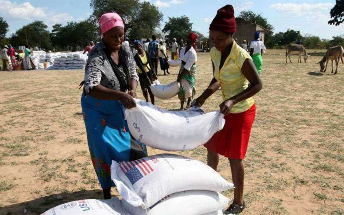 Agajin kayan abinci da Hukumar WFP ta yi a kasar Zimbabwe
Hoto daga WFP Agajin kayan abinci da Hukumar WFP ta yi a kasar Zimbabwe
Hoto daga WFP