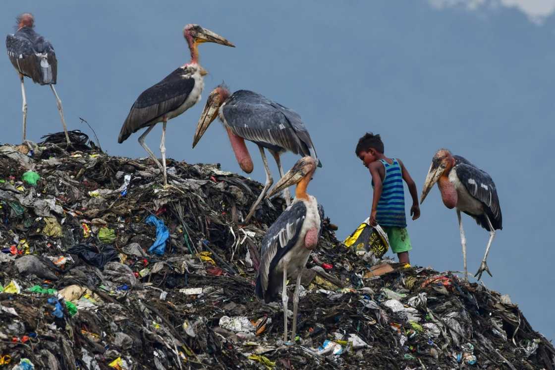 India was the country with the largest number of people in extreme poverty, which impacts 234 million of its 1.4 billion population, according to the report India was the country with the largest number of people in extreme poverty, which impacts 234 million of its 1.4 billion population, according to the report