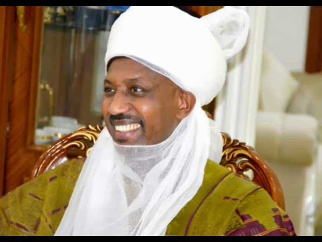 Sani Sha'aban Sani Sha'aban