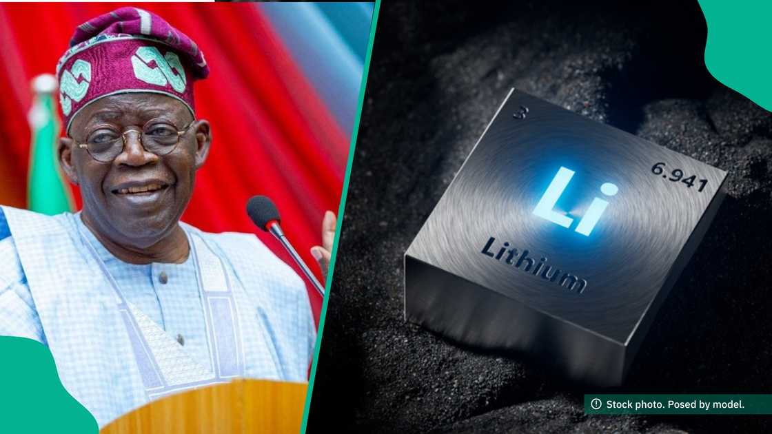 Investors discover another resources in Nigeria. Investors discover another resources in Nigeria.