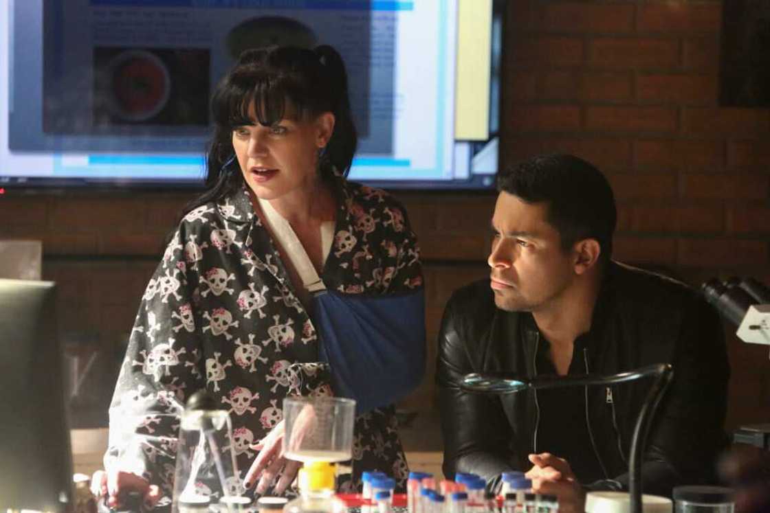 Pauley Perrette: biographie, NCIS, photos et retraite de l'actrice Pauley Perrette: biographie, NCIS, photos et retraite de l'actrice