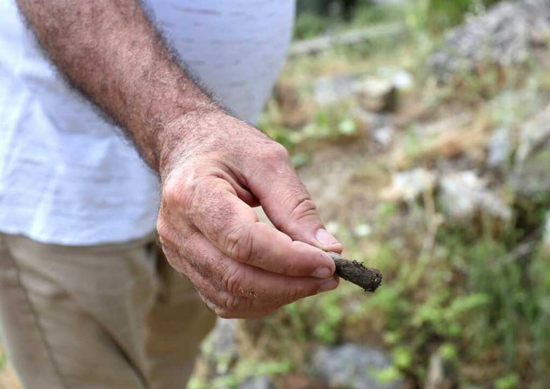 Various treasures such as coins have been unearthed